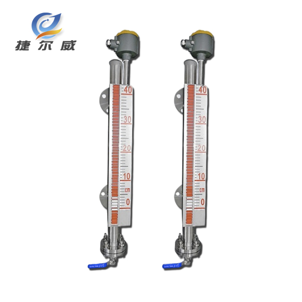 保温耐腐型磁翻板液位计